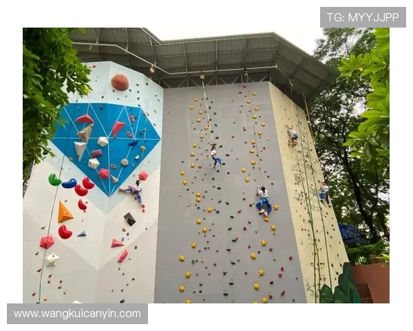 广州攀岩队中路突破新策略助力攀岩运动发展与提升