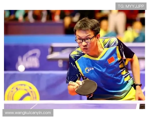 武汉乒乓球队总决赛技术表现分析与未来发展展望