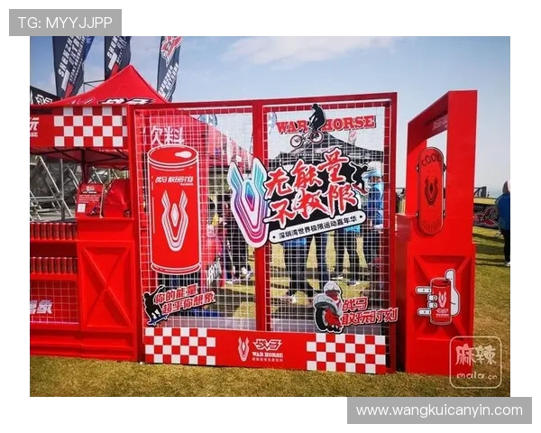 深圳极限运动嘉年华精彩点评：团队协作与表现的完美结合