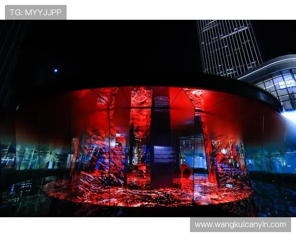 史鸿飞的传奇人生与时代变迁的交织探索