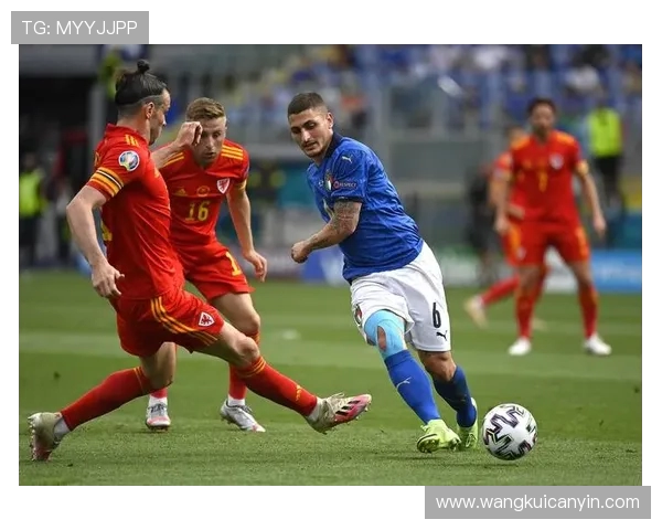 法国与瑞士足球历史交锋回顾及战绩分析