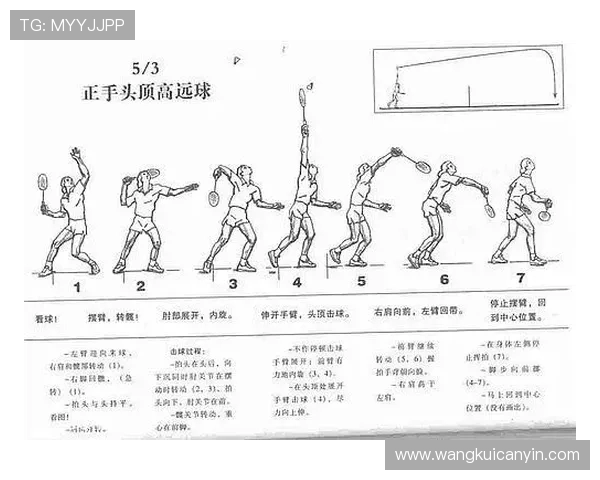 从零基础到高手之路羽毛球技术全方位提升指南 从零基础到高手之路羽毛球技术全方位提升指南