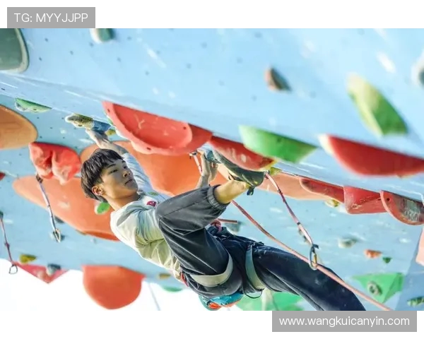 广州攀岩队近期状态分析与表现评估的全面研究报告